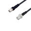 LCCA30245-FT3 LCCA30245-FT3