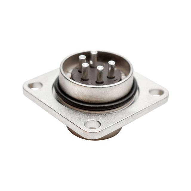 C091 31S005 100 2 Back