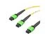 MPM24212SMR-10 MPM24212SMR-10