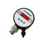 DPG110-100A DPG110-100A