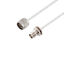 LCCA30447-FT10 LCCA30447-FT10