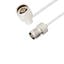 LCCA30582-FT6 LCCA30582-FT6