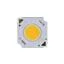 CHA0612-0000-00PN0U0A31Q