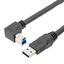 LCCA31099-FT1 LCCA31099-FT1