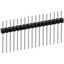 PEC17SAGN