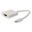 USBC2HDMIW-C USBC2HDMIW-C