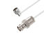 LCCA30439-FT1 LCCA30439-FT1