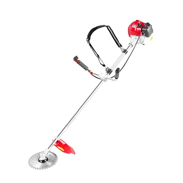 WL-BLUE FRONT-56311184914-398