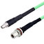 LCCA30038-FT5 LCCA30038-FT5