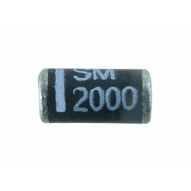 SM3000