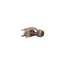 85_SMA-50-0-101/111_NE