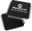 dsPIC30F6014A dsPIC30F6014A