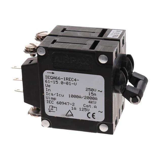 IEGH66-1REC4-61-15.0-01-V