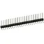 PEC24SGAN PEC24SGAN