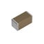 C3216X5R1H106K160DB C3216X5R1H106K160DB