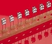 01110005MR product image