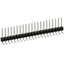 PEC21SGAN