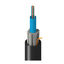 TT-SCN-012-LRNN TT-SCN-012-LRNN