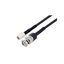 PE3C3817LF/HS-12 PE3C3817LF/HS-12
