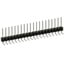 PEC20SGAN