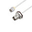 LCCA30557-FT1 LCCA30557-FT1