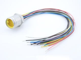 1300150109 - Mini-Change C-Size Receptacle, 19 Poles, 1/2" - 14 NPT Threads, Male (Straight) to Leads, 0.30m (11.81") Length