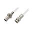 PE38132/WH-12 PE38132/WH-12