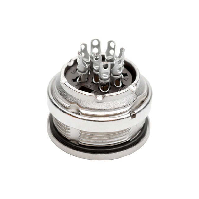 C091 31N008 100 2 Back