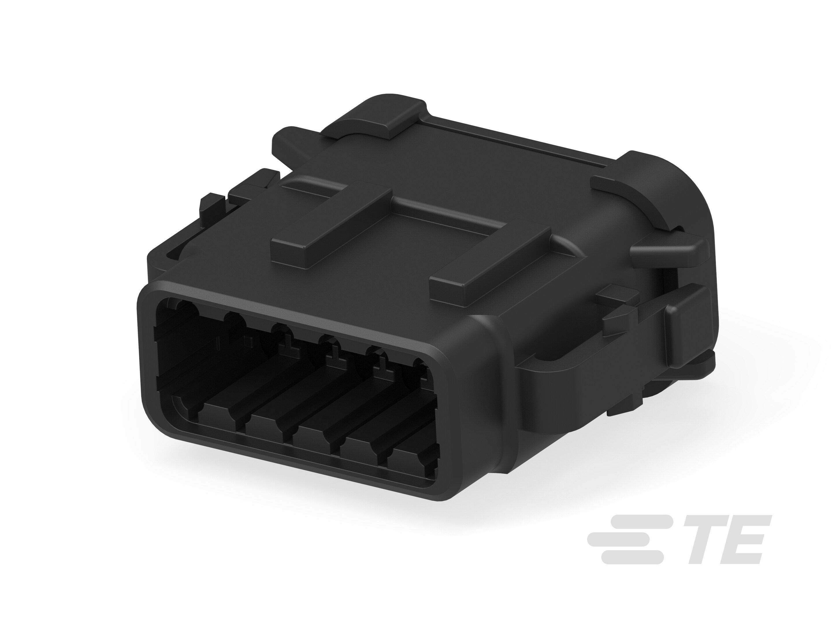 PLG, 12P, BLK, N, CAP, B-DTM06-12SB-E003 PLG, 12P, BLK, N, CAP, B-DTM06-12SB-E003