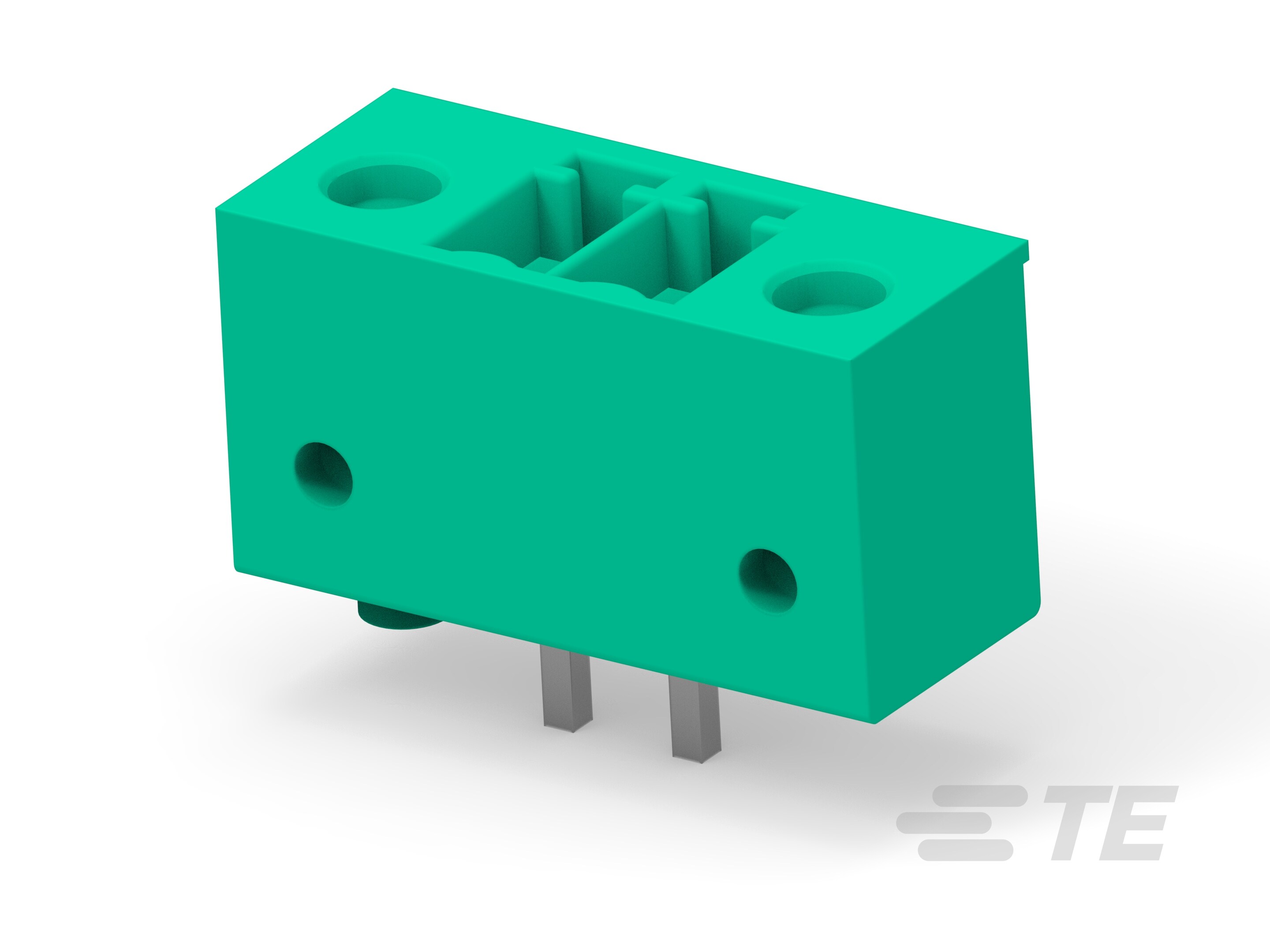 2P TERMIBLOK HDR DIR C VITI w/ KEY FEAT-1986799-2