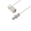 LCCA30593-FT4 LCCA30593-FT4