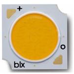 BXRE-57S1001-B-74