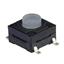 TS24-62-14-CL-250-SMT-TR-67 TS24-62-14-CL-250-SMT-TR-67