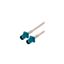 LCCA31248-FT2 LCCA31248-FT2