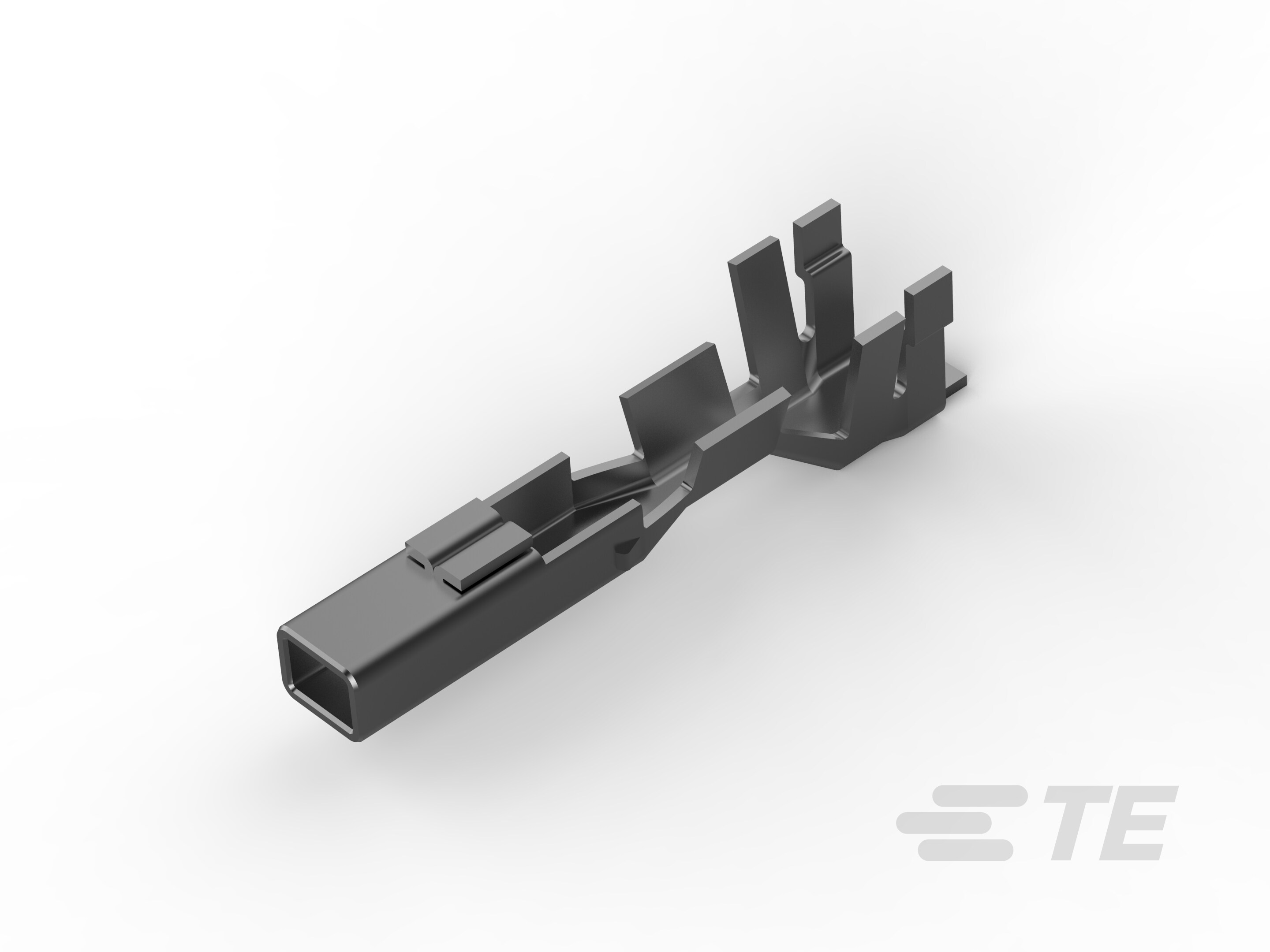 FG TERMINAL-1743728-1