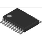 W681310WG TR