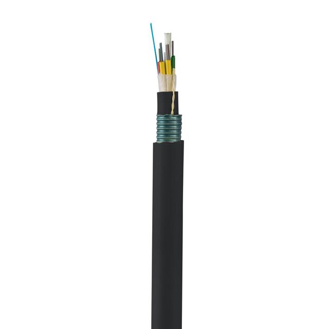 FAMCZ1A-24 FAMCZ1A-24