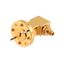 FM-W12CA001A FM-W12CA001A