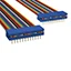 C0PPG-2436M C0PPG-2436M