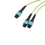 MPF24212OM5R-CA-1 MPF24212OM5R-CA-1