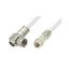 PE38137/WH-36 PE38137/WH-36