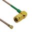 CBG-IPX-SALRMGT-250MM CBG-IPX-SALRMGT-250MM