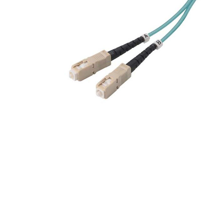 FODSC-10G-01 FODSC-10G-01