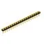 MK LP 19 19 G MK LP 19 19 G