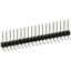 PEC19SGAN
