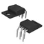CS8101YTHA5G CS8101YTHA5G
