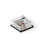 XL-1515RGBC-WS2812B XL-1515RGBC-WS2812B