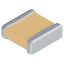 S0AU160A102M1S2001W S0AU160A102M1S2001W