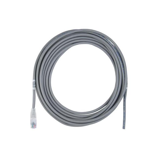 C531202025 C531202025