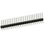 PEC23SGAN PEC23SGAN